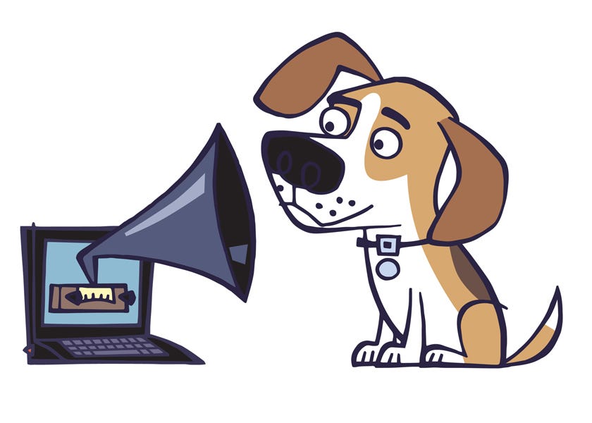 Beyond Grammar: The Real-World Impact of 